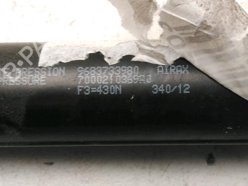 tailgate-lift-support-citroen-c3-ii-sc_-2009-31278086 main image