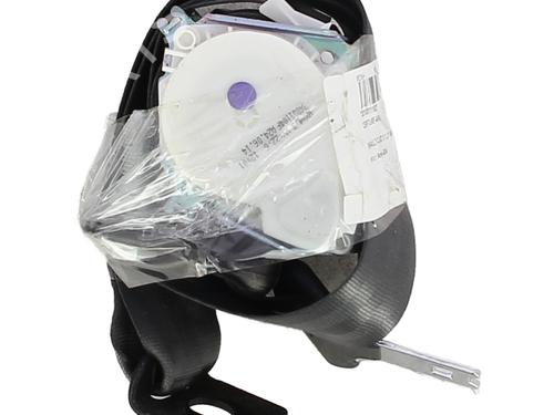 Used Rear left belt tensioner RENAULT CLIO III (BR0/1, CR0/1) 1.2 16V (BR02, BR0J, BR11, CR02, CR0J, CR11) (75 hp) 31576439