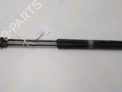 Used Tailgate lift support RENAULT SCÉNIC II (JM0/1_) 1.9 dCi (JM14) (131 hp) 18327299