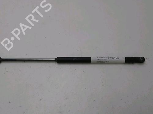 Used Tailgate lift support CITROËN C3 I (FC_, FN_) 1.4 HDi (68 hp) 19498653