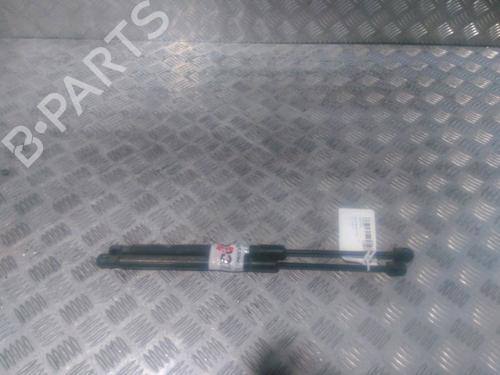 Used Tailgate lift support RENAULT MEGANE III Hatchback (BZ0/1_, B3_) 1.9 dCi (BZ0N, BZ0J) (131 hp) 15723962