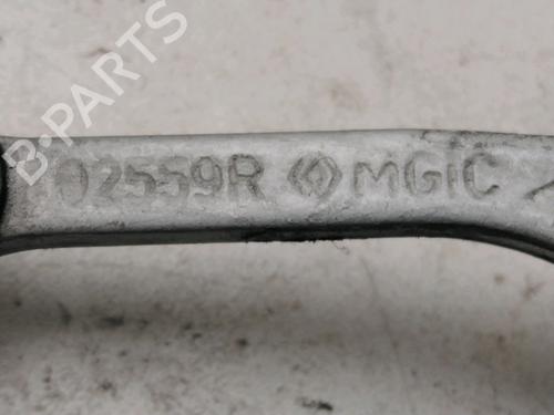 Used Hinge/Door check strap DACIA LOGAN MCV II TCe 90 (K8M1, K8MA, K8AC) (90 hp) 30893191