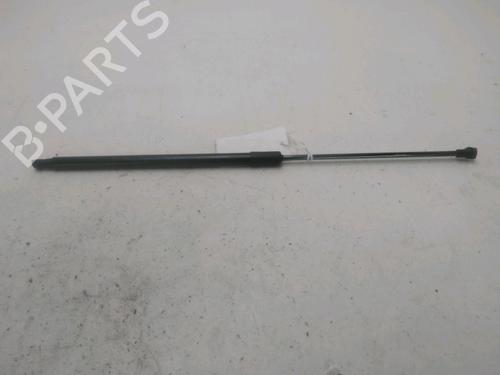 Hood lift support DACIA DUSTER (HM_) 1.5 dCi 115 (HMAD) | BP29389303C139 