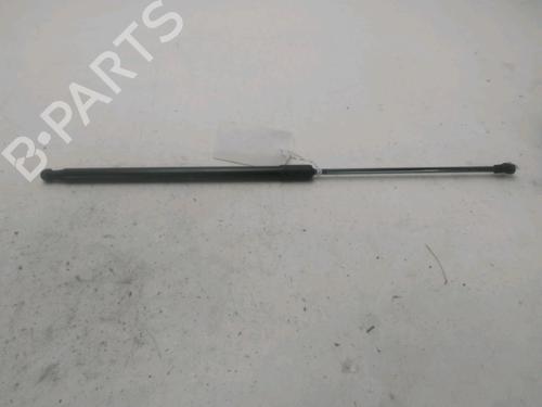 Hood lift support DACIA DUSTER (HM_) 1.5 dCi 115 (HMAD) | BP29389300C139 