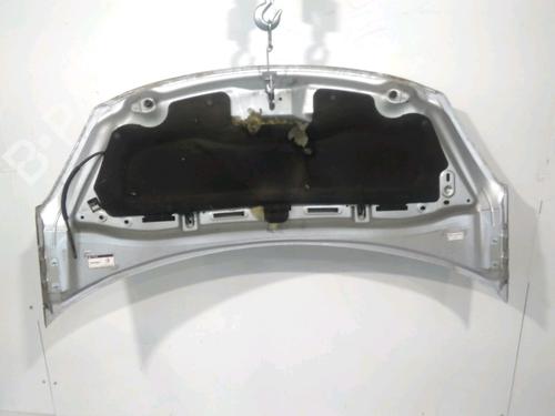 Used Hood CITROËN C3 II (SC_) 1.4 HDi 70 (SC8HZC, SC8HR0, SC8HP4) (68 hp) 27993038