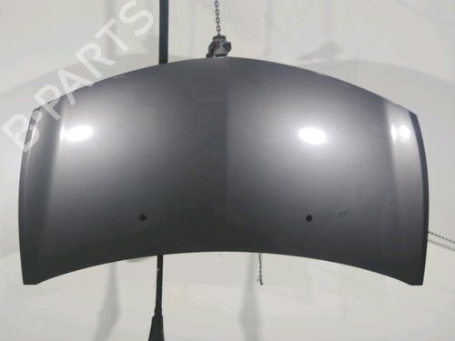 Used Hood RENAULT CLIO III (BR0/1, CR0/1) 1.5 dCi (C/BR0G, C/BR1G) (68 hp) 18478092