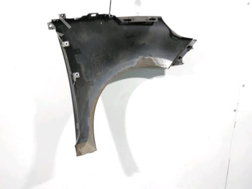 Used Left front fenders RENAULT SCÉNIC III (JZ0/1_) 1.5 dCi (86 hp) 29046725