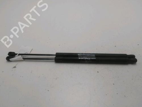 Used Tailgate lift support RENAULT SCÉNIC II (JM0/1_) 1.9 dCi (JM0G, JM12, JM1G, JM2C) (120 hp) 22525300