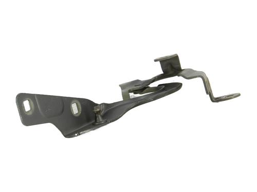 hingedoor-check-strap-renault-captur-i-j5_-h5_-2013-33971278 main image