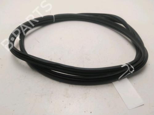 Used Rubber door seal RENAULT MEGANE II (BM0/1_, CM0/1_) 1.6 16V (112 hp) 22382044