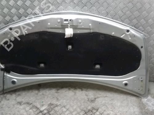 Hood RENAULT CLIO III (BR0/1, CR0/1) 1.5 dCi (C/BR0G, C/BR1G) | BP15100660C1