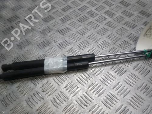 Used Tailgate lift support RENAULT CLIO III (BR0/1, CR0/1) 1.5 dCi (75 hp) 16204058