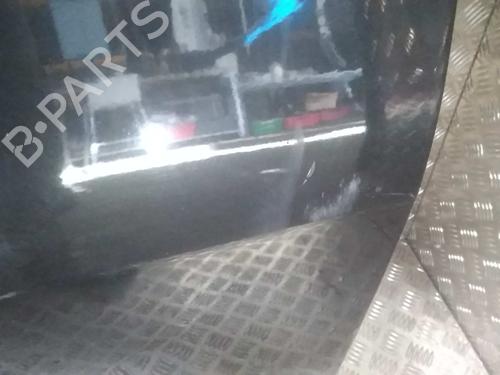 Left front door PEUGEOT 1007 (KM_) 1.6 16V | BP16913495C2
