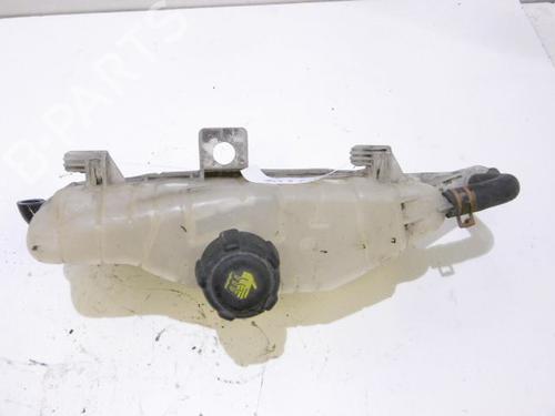 Used Expansion tank RENAULT CLIO III (BR0/1, CR0/1) 1.5 dCi (88 hp) 15748077
