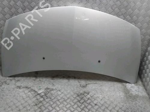 Used Hood RENAULT CLIO III (BR0/1, CR0/1) 1.5 dCi (C/BR0G, C/BR1G) (68 hp) 15100660