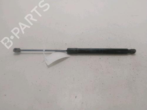 tailgate-lift-support-citroen-c3-aircross-ii-2r_-2c_-2017-28572742 main image