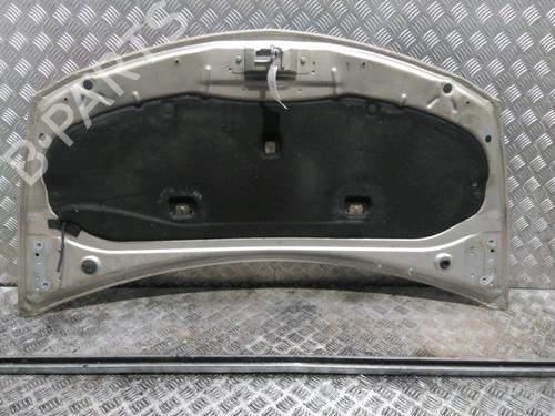 Hood RENAULT CLIO III (BR0/1, CR0/1) 1.5 dCi (C/BR0G, C/BR1G) | BP18066701C1 