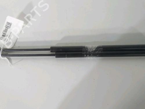 Used Tailgate lift support RENAULT SCÉNIC II (JM0/1_) 1.9 dCi (JM0G, JM12, JM1G, JM2C) (120 hp) 22694297