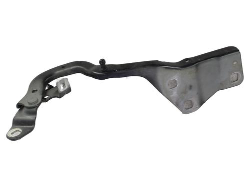 Used Hinge/Door check strap Hinge/Door check strap RENAULT SCÉNIC IV (J9_) 1.6 dCi 130 (130 hp) 34608868 34608868