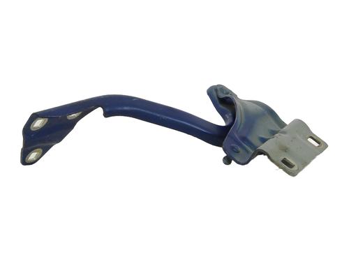 hingedoor-check-strap-renault-megane-iv-hatchback-b9amn_-2015-36486258 main image