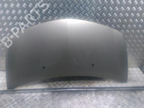 Used Hood RENAULT CLIO III (BR0/1, CR0/1) 1.5 dCi (75 hp) 16708290