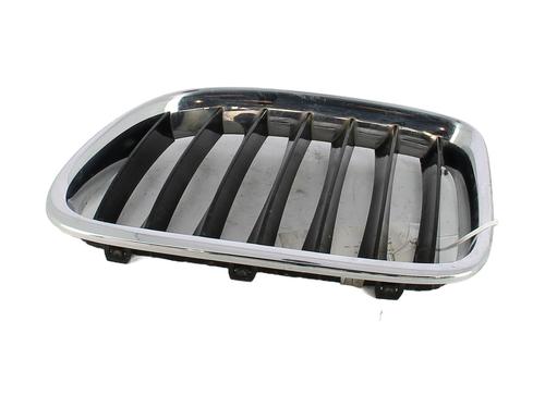 Used Grille Grille BMW X1 (E84) sDrive 16 d (116 hp) 29819291 29819291