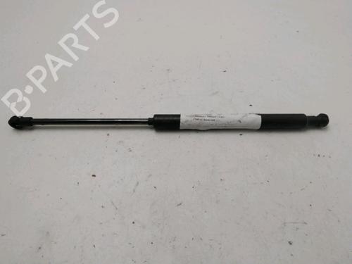 Tailgate lift support RENAULT TWINGO II (CN0_) 1.5 dCi (CN0E) | BP31278093C138