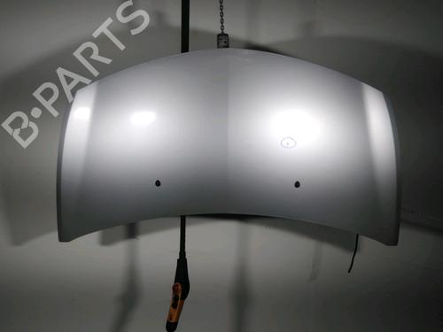 Used Hood RENAULT CLIO III (BR0/1, CR0/1) 1.5 dCi (C/BR0G, C/BR1G) (68 hp) 19114914