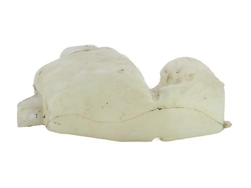 windscreen-washer-tank-renault-kangoo-express-fc01_-1997-31155499 main image