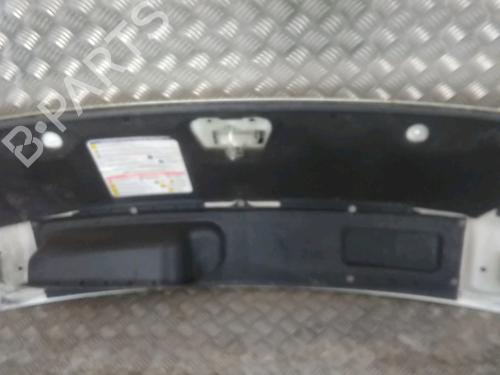 Used Hood PEUGEOT BOXER Van 2.2 HDi 120 (120 hp) 25623241