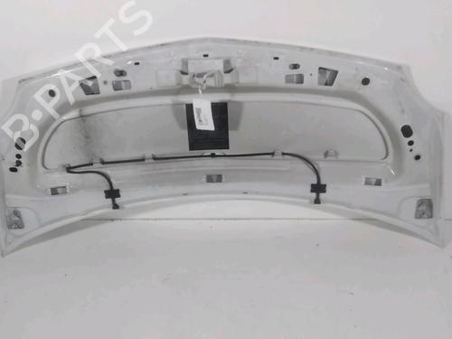 Used Hood RENAULT KANGOO Express (FW0/1_) 1.5 dCi 70 (FW0A, KW0V) (68 hp) 22247054