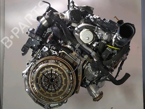 Engine RENAULT KANGOO III MPV Blue dCi 95 (KJAB) | BP29929941M1