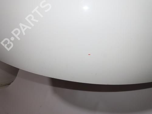 Used Hood PEUGEOT 206+ (2L_, 2M_) 1.4 i (73 hp) 26196303