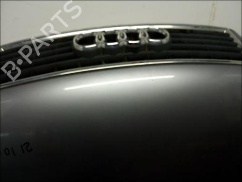 Used Hood AUDI A4 B7 (8EC) 1.9 TDI (116 hp) 16203095