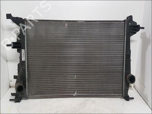 Used Water radiator RENAULT SCÉNIC III (JZ0/1_) 1.5 dCi (JZ02, JZ0R) (95 hp) 10941025