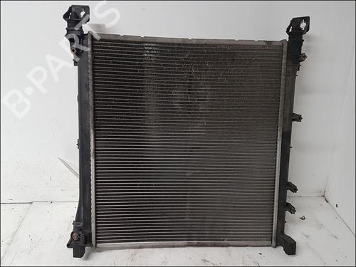 Used Water radiator FIAT 500 (312_) 1.3 D Multijet (312AXB1A) (75 hp) 10941040