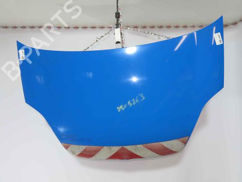 hood-fiat-doblo-cargo-263_-2010-37054483 main image