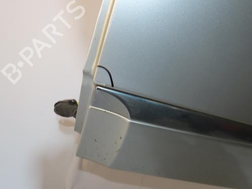 Left rear door RENAULT SCÉNIC III (JZ0/1_)  | BP20977033C4 
