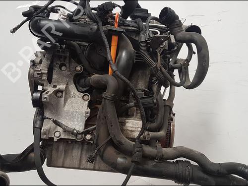 Motor VW GOLF PLUS V (5M1, 521) 1.9 TDI (105 hp) 16040165