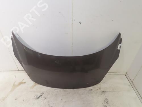Used Hood RENAULT SCÉNIC III (JZ0/1_) 1.5 dCi (JZ02, JZ0R) (95 hp) 19326683