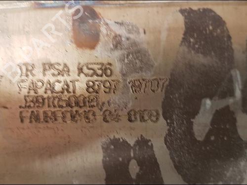 Used Catalyst CITROËN C3 II (SC_) 1.6 HDi 90 (90 hp) 14952348