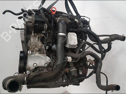 Used Engine SKODA FABIA II (542) 1.6 TDI (75 hp) 16487166