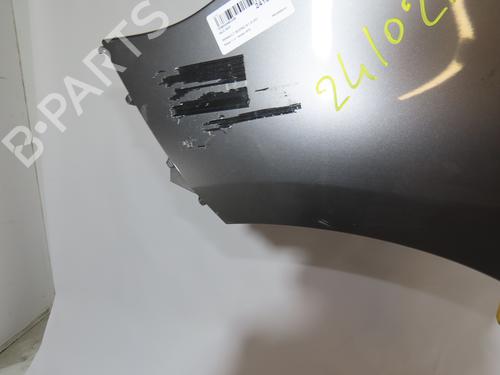 Used Left front fenders RENAULT SCÉNIC III (JZ0/1_) 1.9 dCi (JZ0J, JZ1J, JZ1K, JZ1S) (131 hp) 22811451