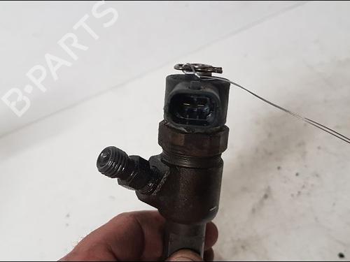 Injector FIAT FIORINO Box Body/MPV (225_) 1.3 D Multijet (225BXD1A, 225BXB1A, 225BXB11) | BP13242970M100 