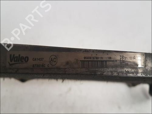 Used Heater matrix CITROËN BERLINGO / BERLINGO FIRST Box Body/MPV (M_) 2.0 HDI 90 (MBRHY, MCRHY) (90 hp) 10941458