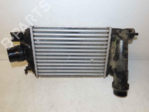 Intercooler DACIA JOGGER (RK_) 1.0 TCe 100 ECO-G (RKMT) | BP37055215M30 - Image 2