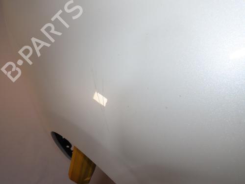 Right front fenders RENAULT SCÉNIC III (JZ0/1_) 1.6 dCi (JZ00, JZ12) | BP20243464C42 
