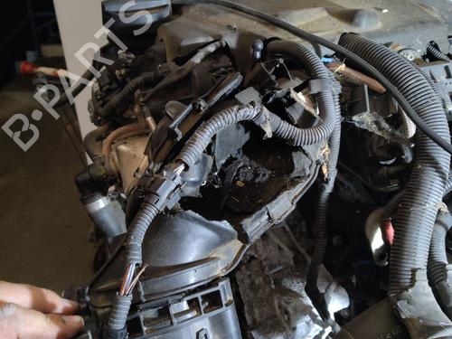 Engine BMW 1 (F20) 116 d | BP38973248M1  - Image 5