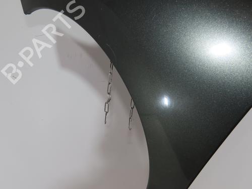 Used Left front fenders PEUGEOT 207 (WA_, WC_) 1.6 16V (109 hp) 29845427