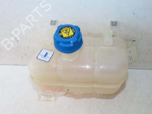 Expansion tank FIAT DUCATO Platform/Chassis (250_) 140 Multijet 2,3 D | BP29345468C120